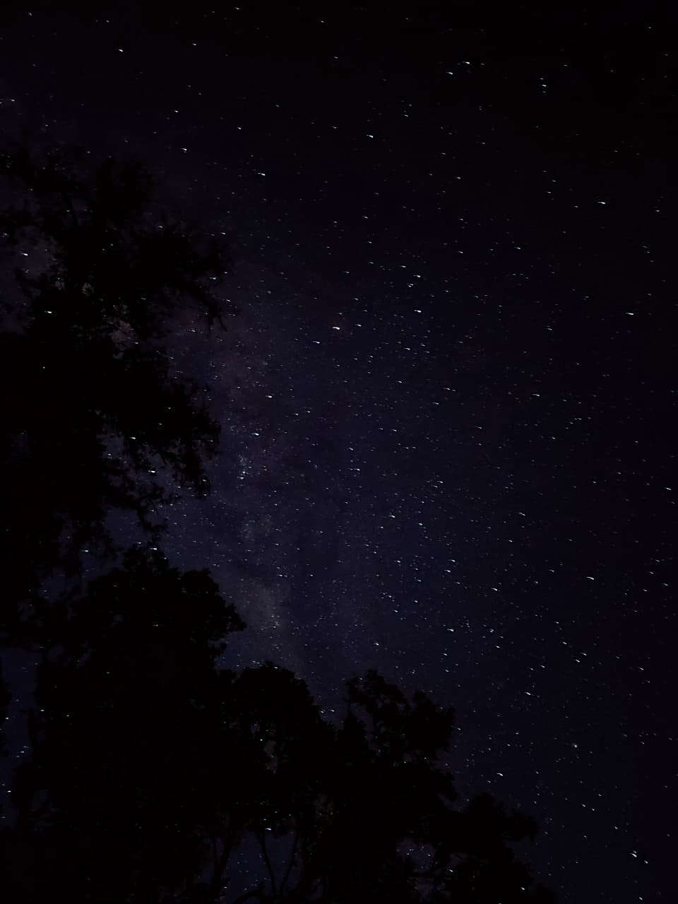 Langit dari Pos 5 Sanghyang Rangkah.